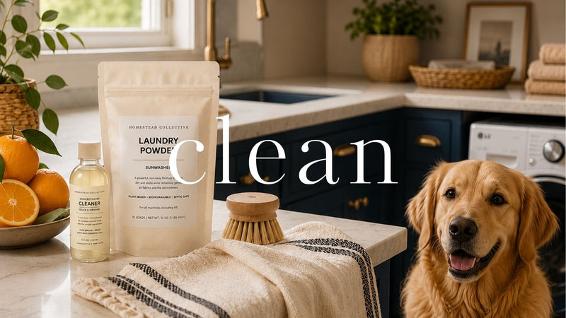 Clean