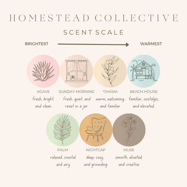 Homestead Collective | Agave Candle