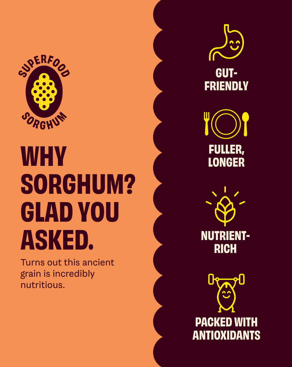 Cob | Seriously Cheesy Popped Sorghum