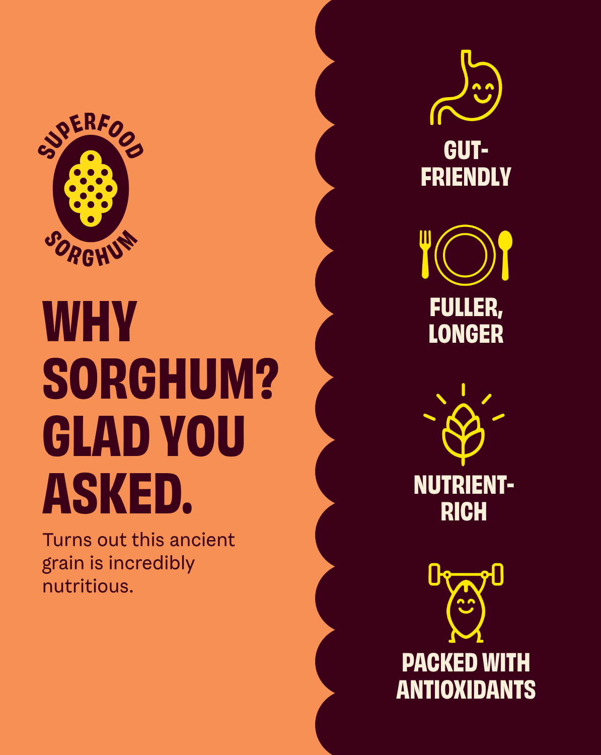 Cob | Seriously Cheesy Popped Sorghum