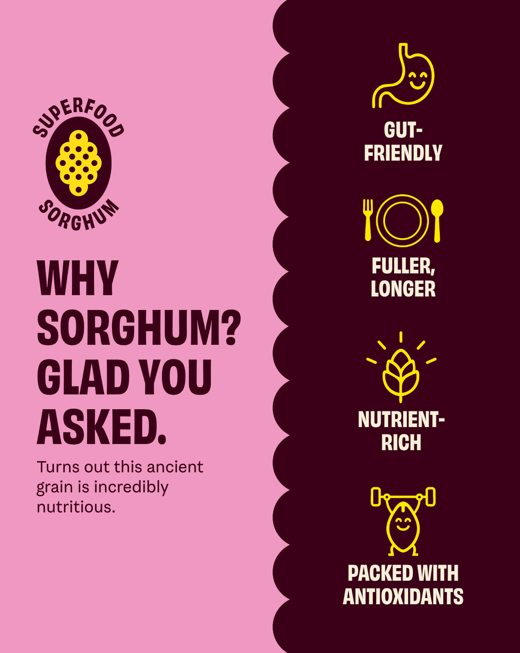 Cob | Olive Oil Pink Salt Popped Sorghum