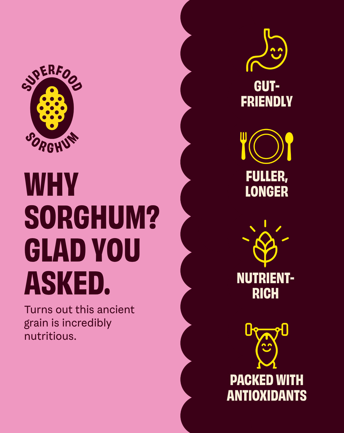 Cob | Olive Oil Pink Salt Popped Sorghum