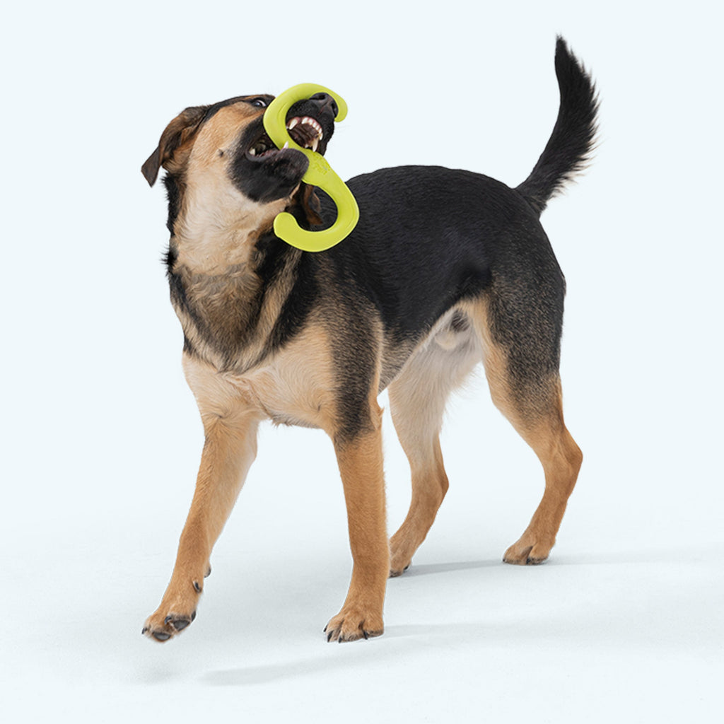West Paw | Bumi Dog Toy