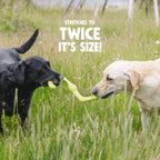 West Paw | Bumi Dog Toy
