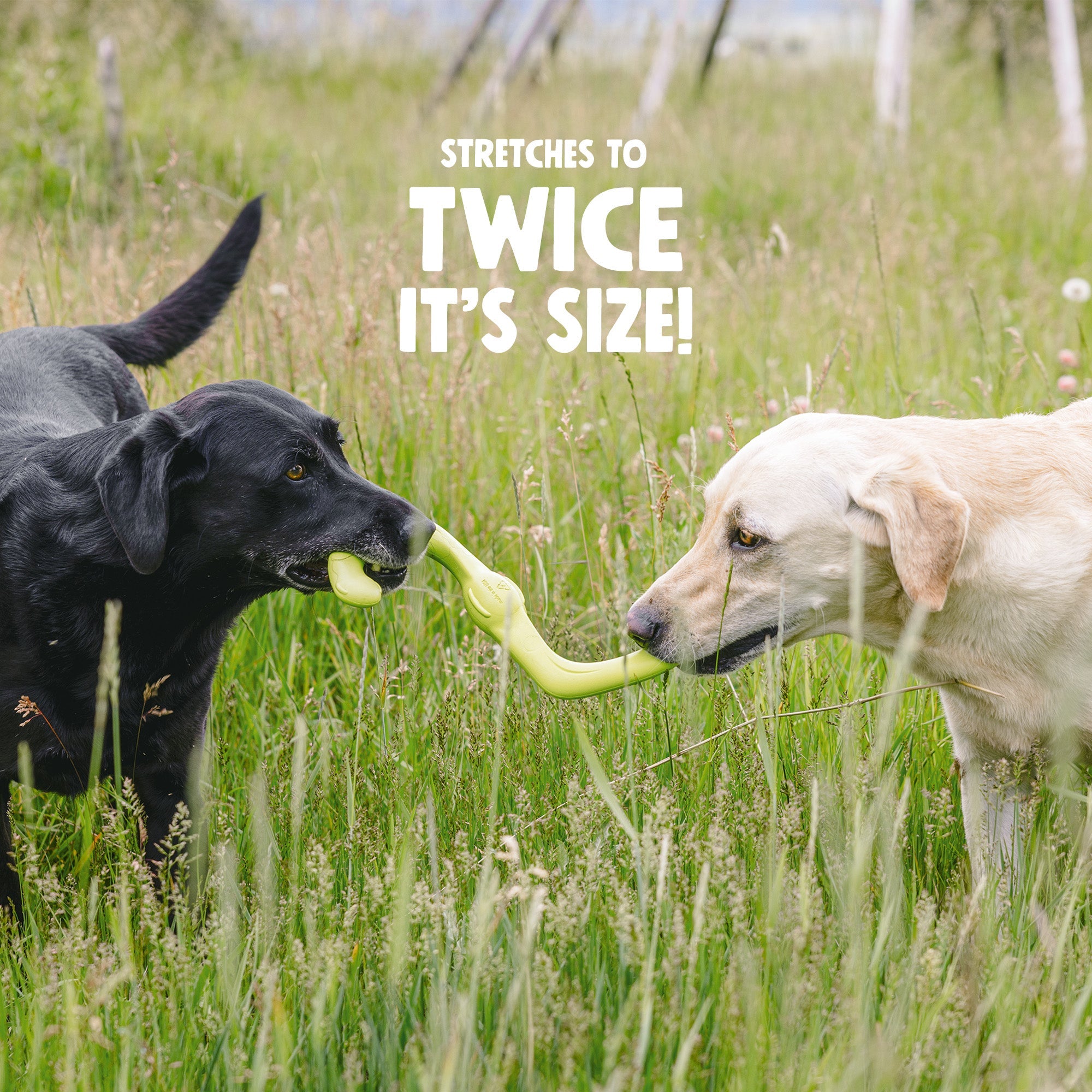 West Paw | Bumi Dog Toy