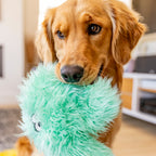 West Paw | Helga Plush Dog Toy