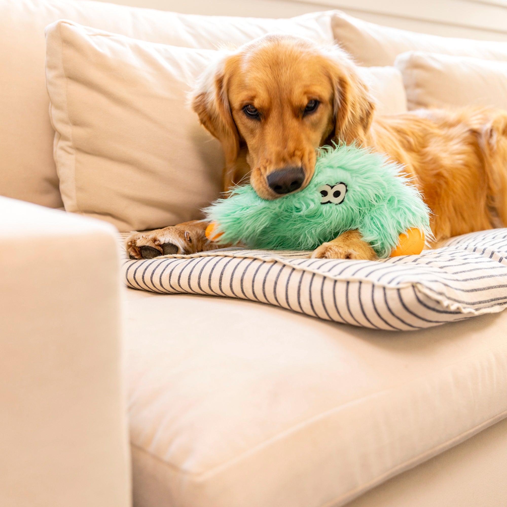 West Paw | Helga Plush Dog Toy