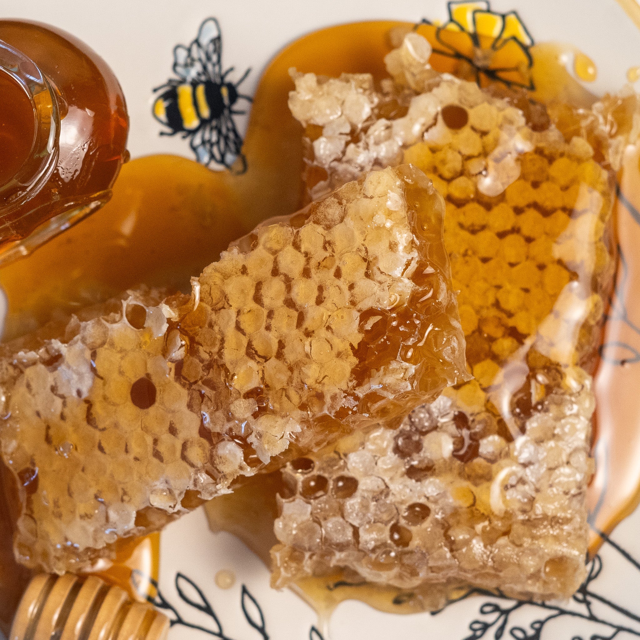 Aquidneck Honey | New England Hand-Cut Honeycomb