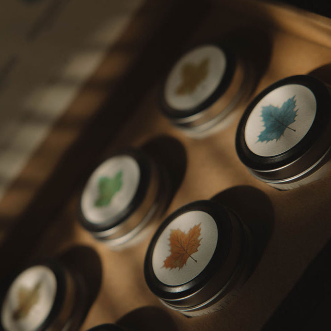 Homestead Collective | Seasonal Discovery Box