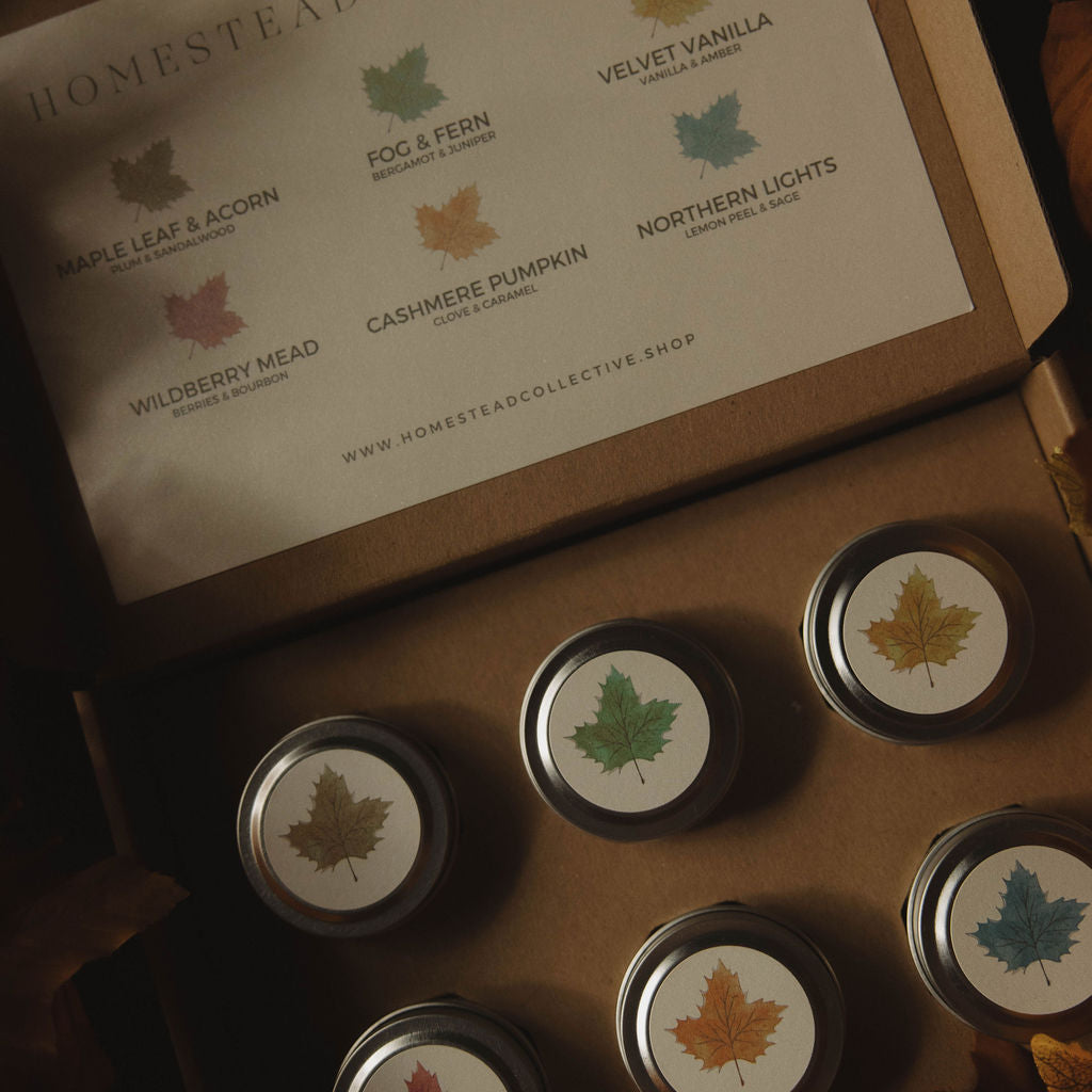 Homestead Collective | Seasonal Discovery Box