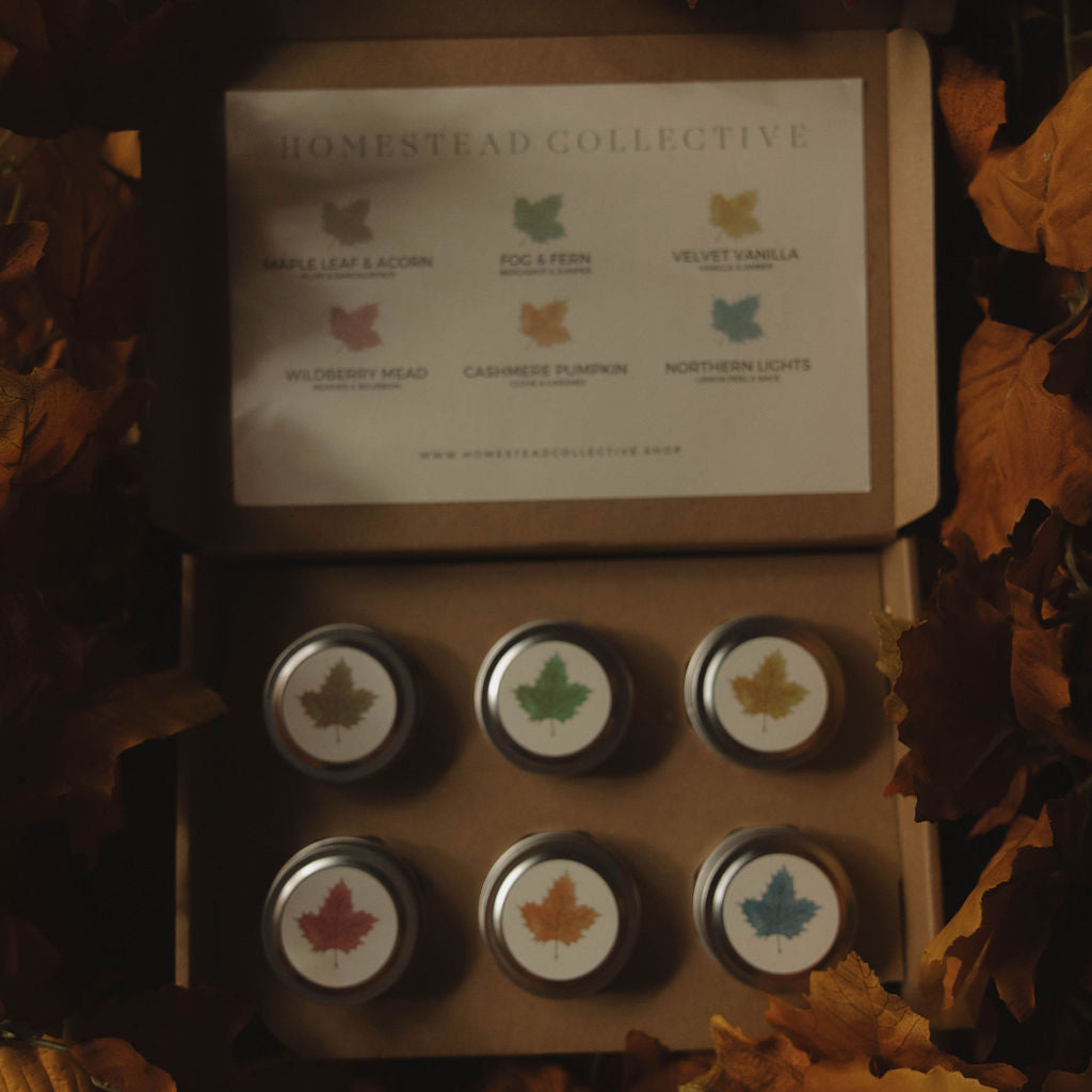 Homestead Collective | Seasonal Discovery Box