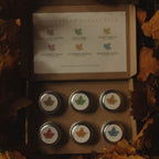 Homestead Collective | Seasonal Discovery Box