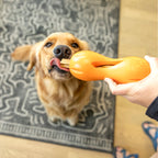 West Paw | Natural Dental Sticks Small