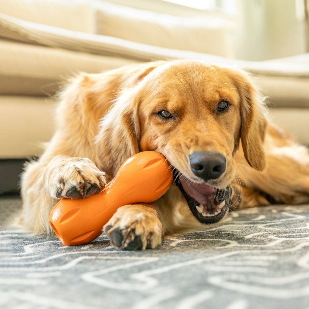 West Paw | Natural Dental Sticks Small