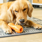 West Paw | Natural Dental Sticks Small