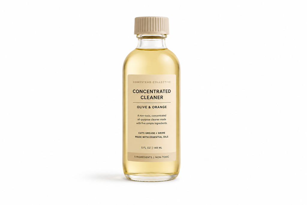 Olive & Orange Concentrated Cleaner