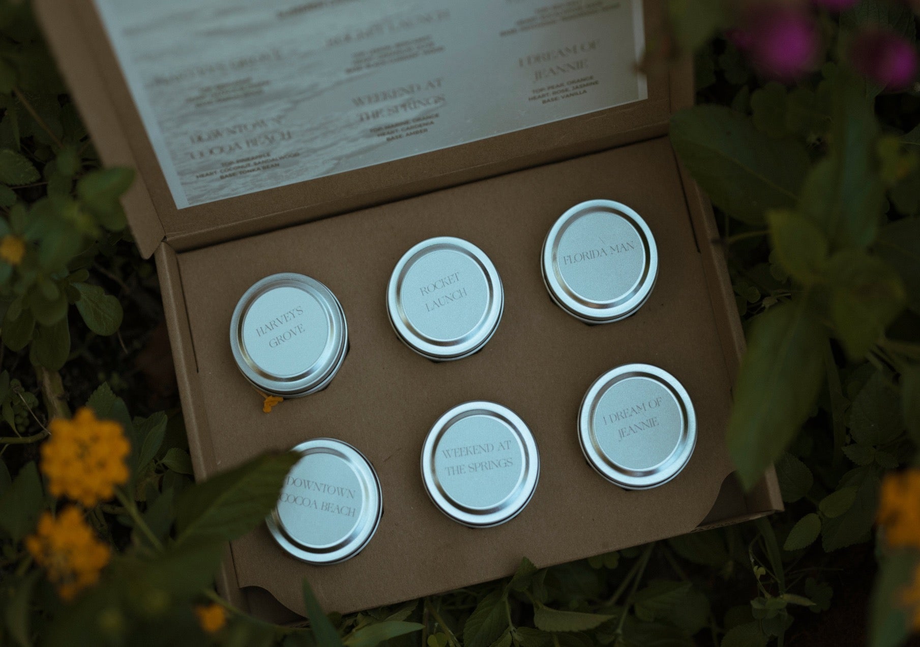 Homestead Collective: Essential Line Discovery Box