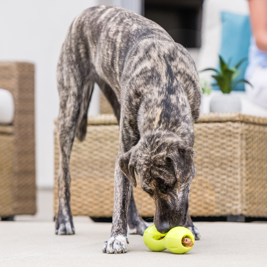 West Paw | Qwizl Dog Treat Toy