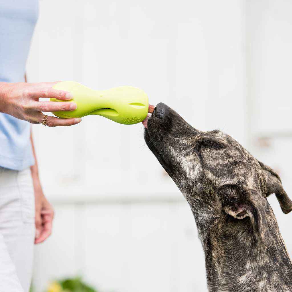 West Paw | Qwizl Dog Treat Toy