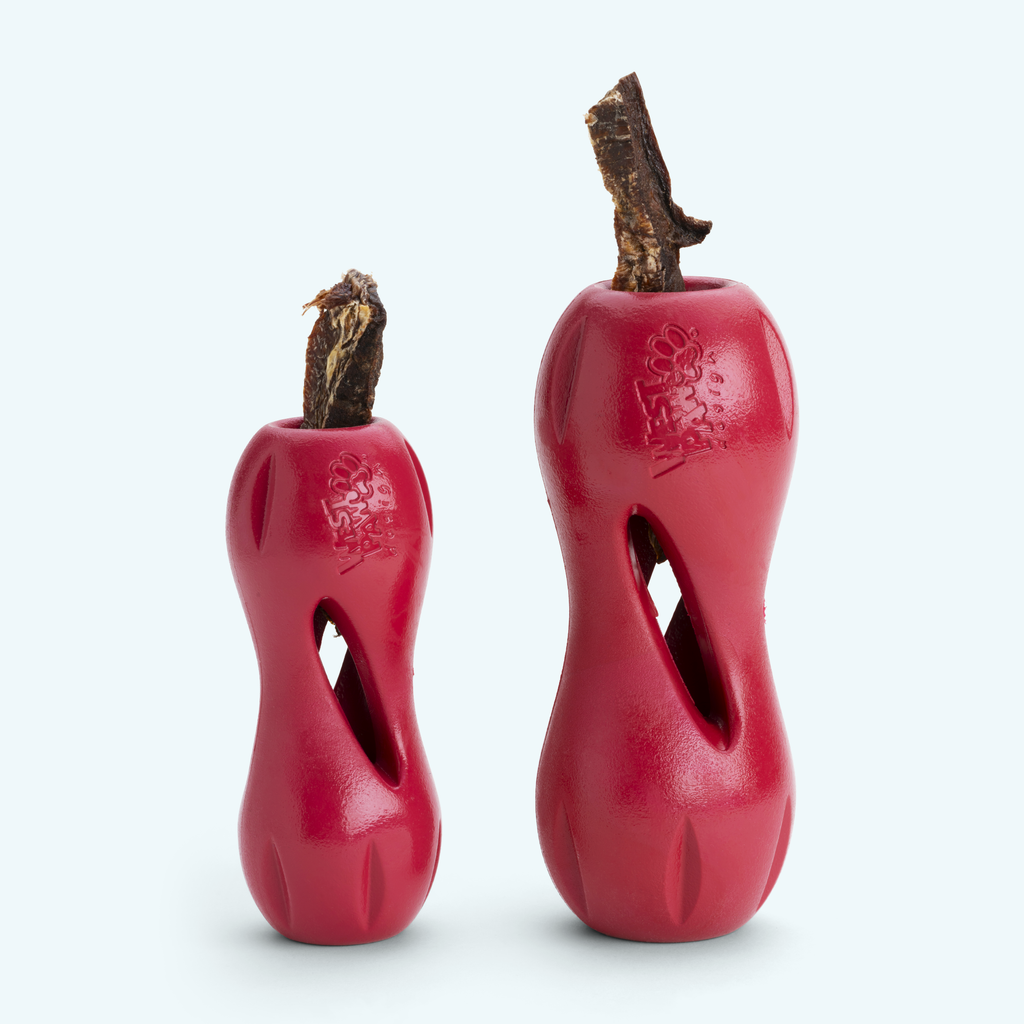 West Paw | Qwizl Dog Treat Toy