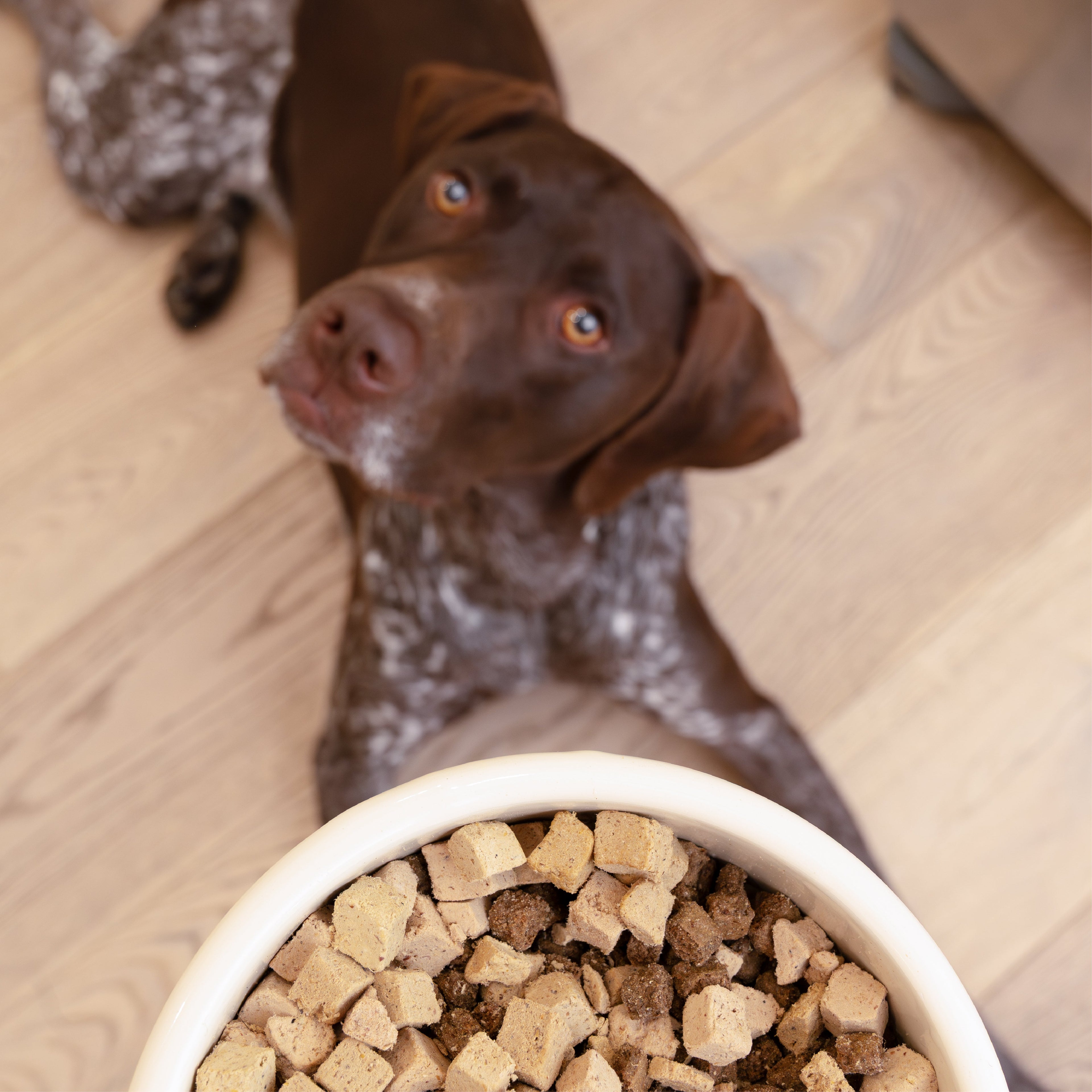 West Paw | Beef Dog Food Topper
