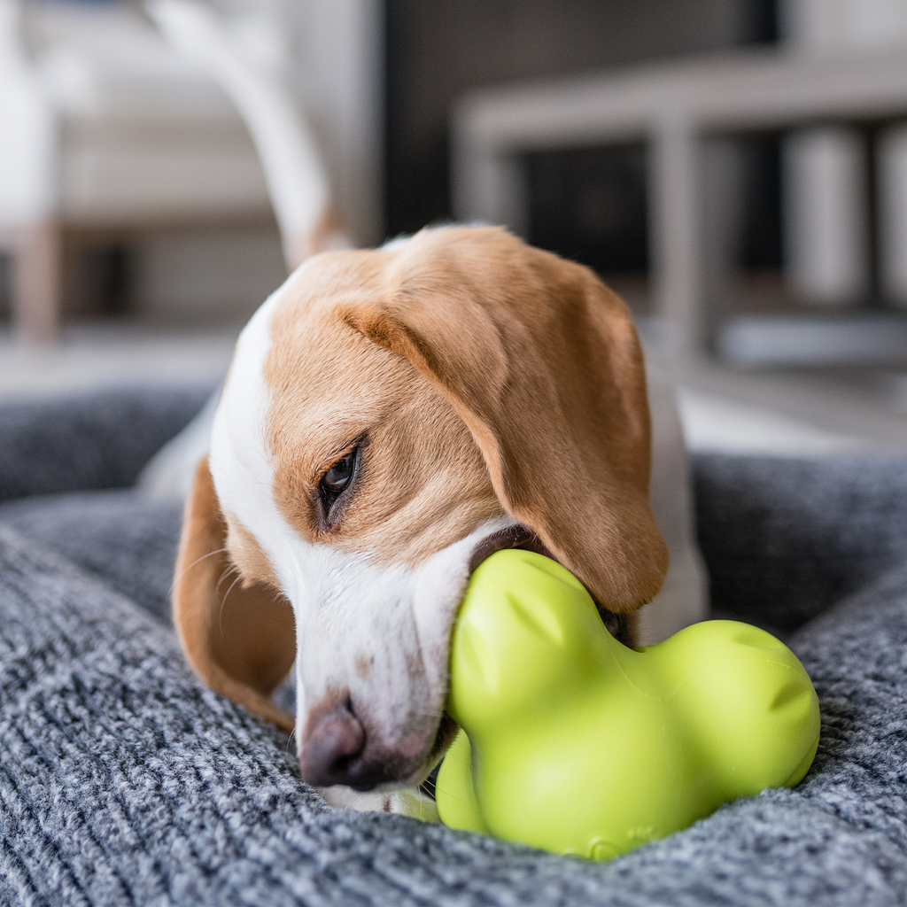 West Paw | Tux Treat Toy