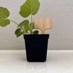 Seed Therapy | Bamboo Plant Markers – 5 Count