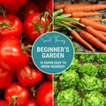 Seed Therapy | Beginner Vegetable Seed Collection – 10 Varieties