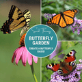 Seed Therapy | Butterfly Garden Seed Collection – 10 Varieties