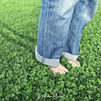 Seed Therapy | Micro Clover (Mini) – 10,000 Seeds