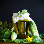 Seed Therapy | H-19 Little Leaf Cucumber – 30 Seeds