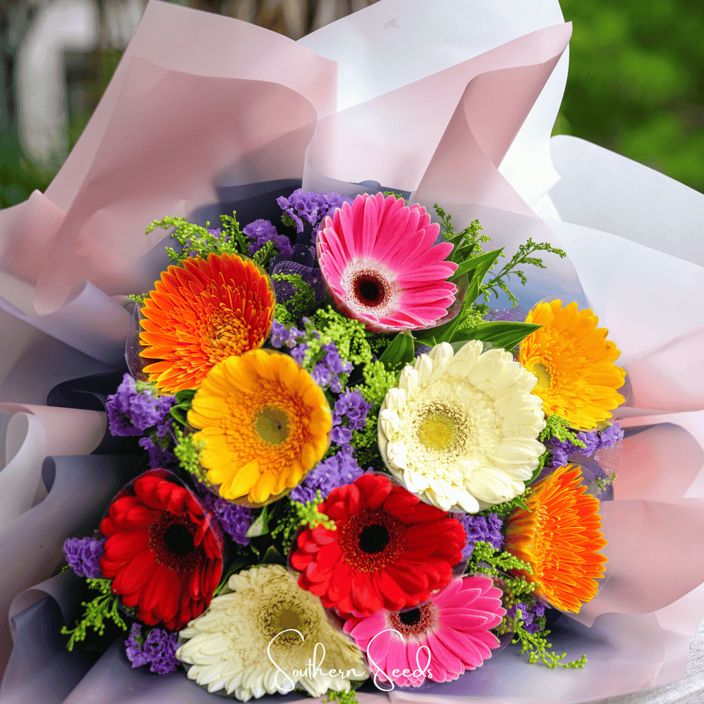 Seed Therapy | Gerbera Daisy Mix – 20 Seeds