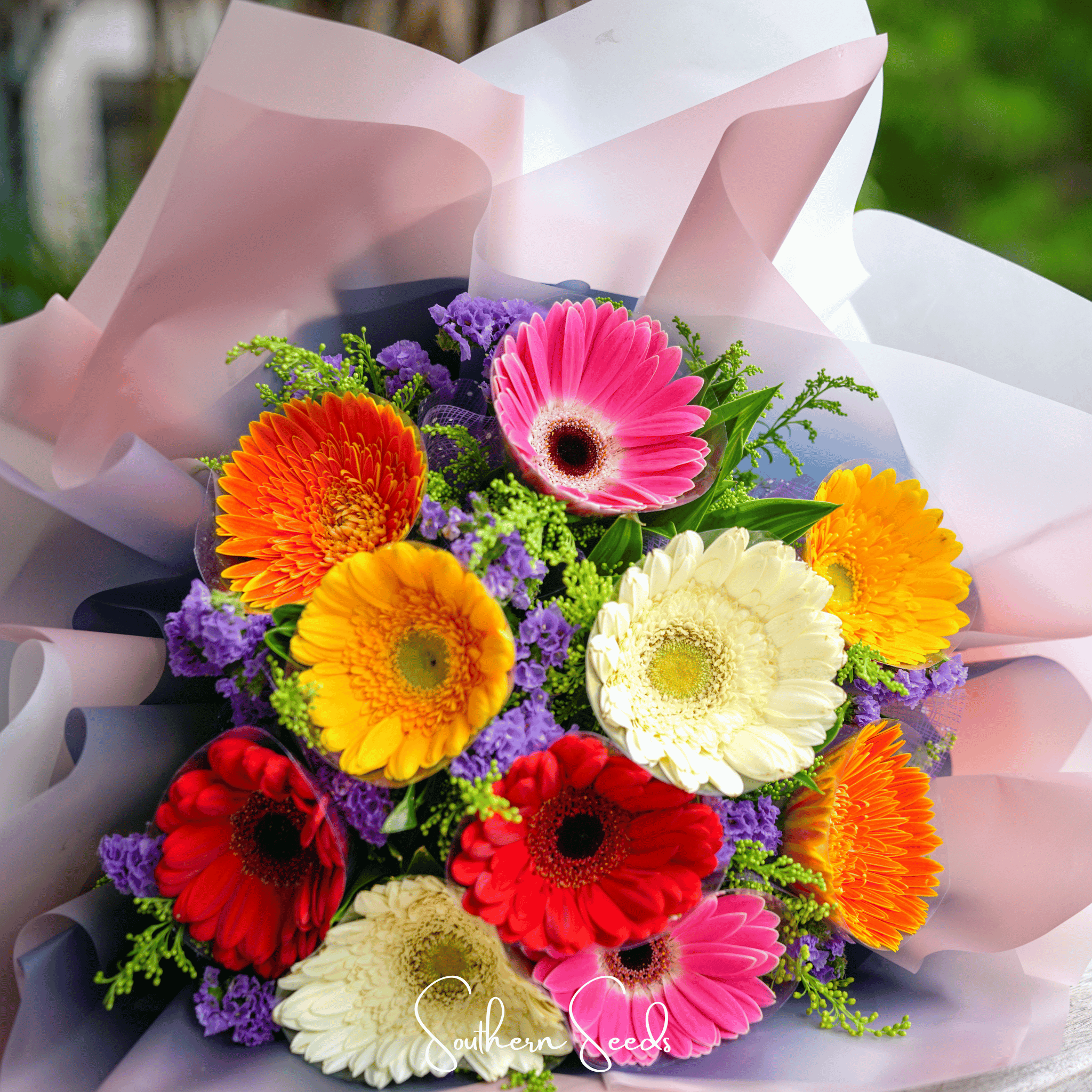 Seed Therapy | Gerbera Daisy Mix – 20 Seeds