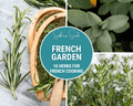 Seed Therapy | French Garden Seed Collection – 10 Varieties