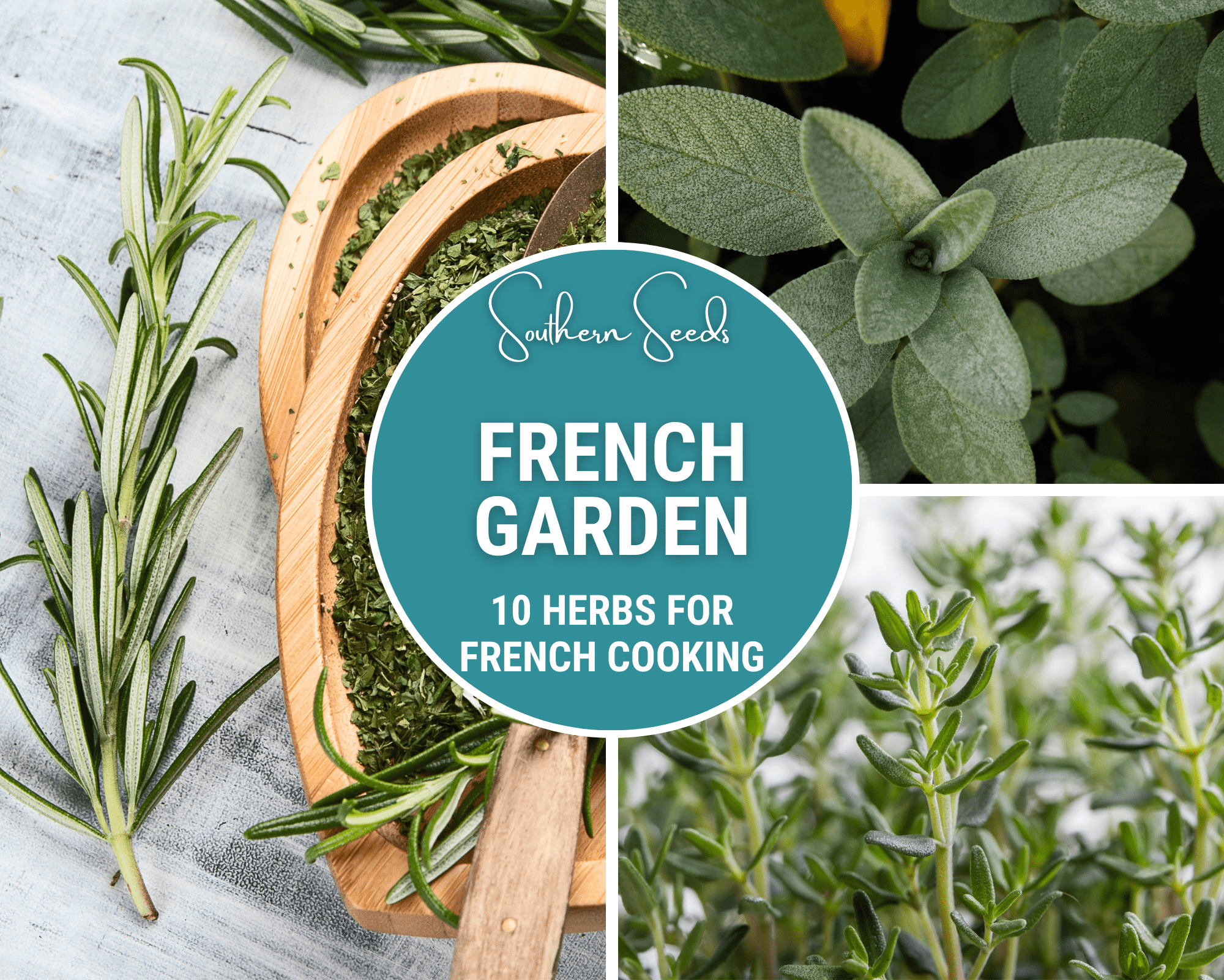Seed Therapy | French Garden Seed Collection – 10 Varieties