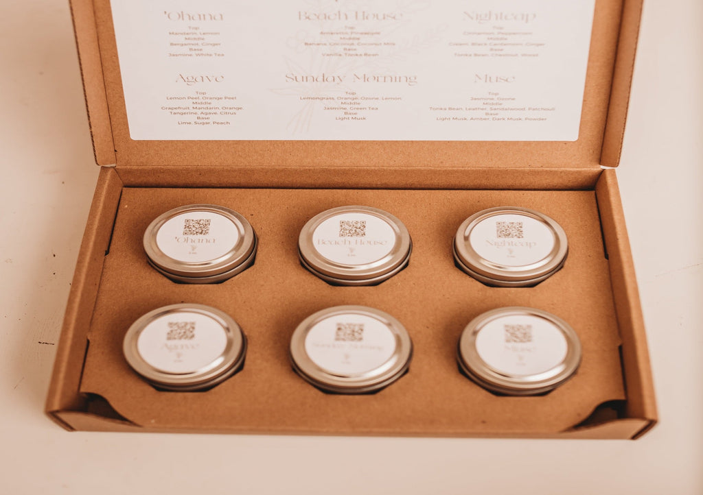 Homestead Collective: Essential Line Discovery Box