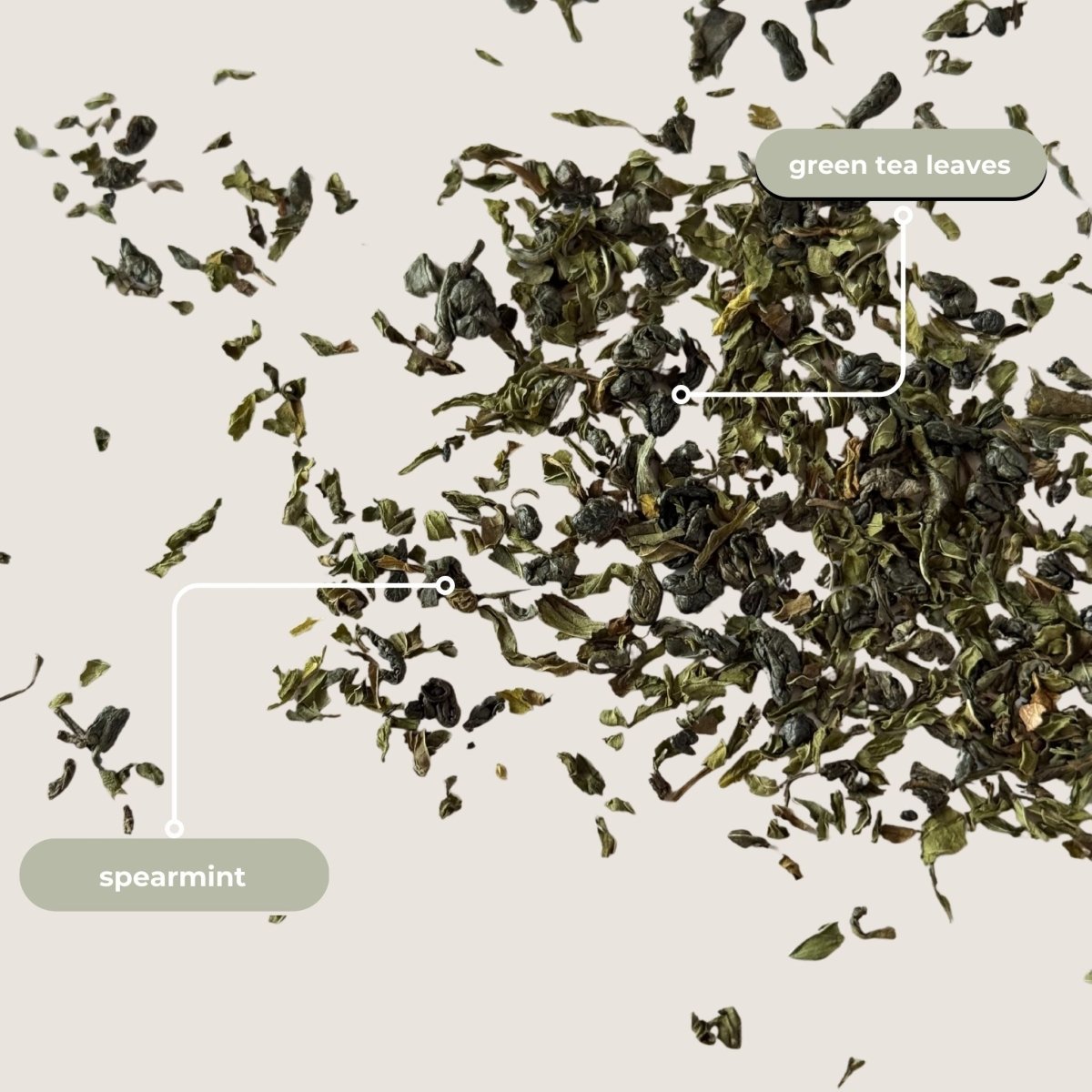 Tea with Tae | Moroccan Mint Mini Tea Tube (5 tea bags)