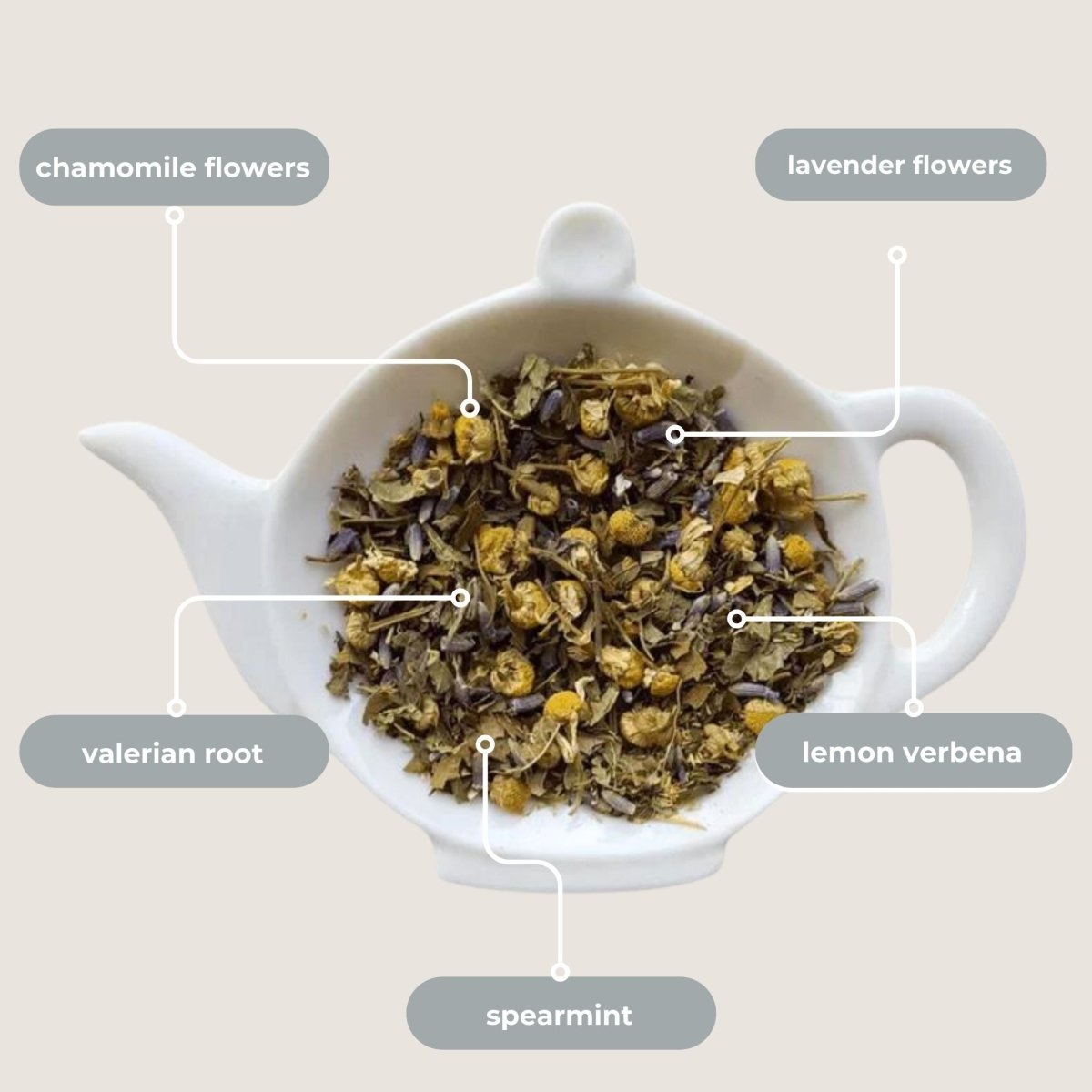 Tea with Tae | Nighttime Routine Mini Tea Tube (5 tea bags)