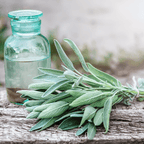 Seed Therapy | Kitchen Sage – 50 Seeds