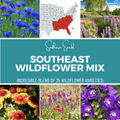 Seed Therapy | Southeast Wildflower Seed Mix (24 Varieties) – 1,000 Seeds