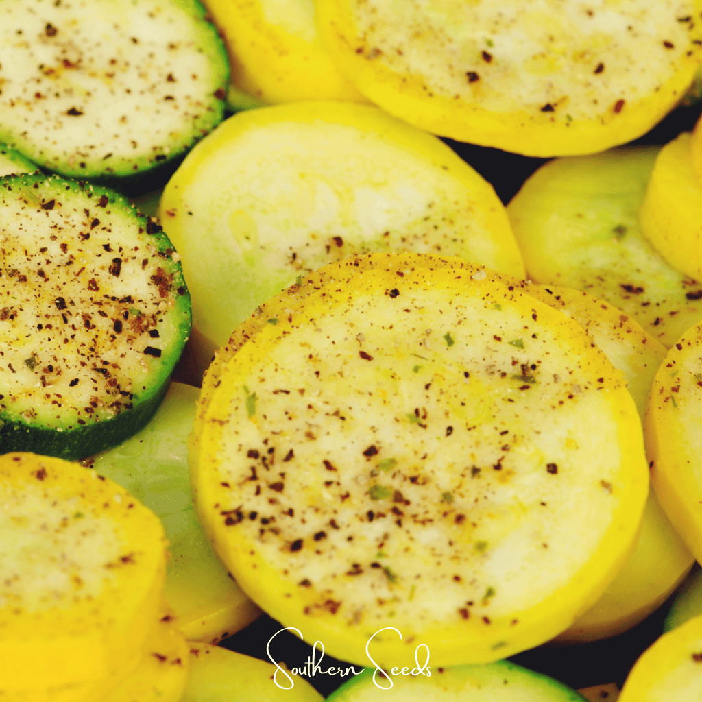Seed Therapy | Early Prolific Straightneck Squash – 25 Seeds