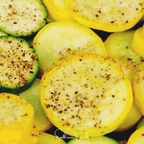 Seed Therapy | Early Prolific Straightneck Squash – 25 Seeds
