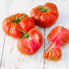 Seed Therapy | Red Brandywine Tomato –  50 Seeds