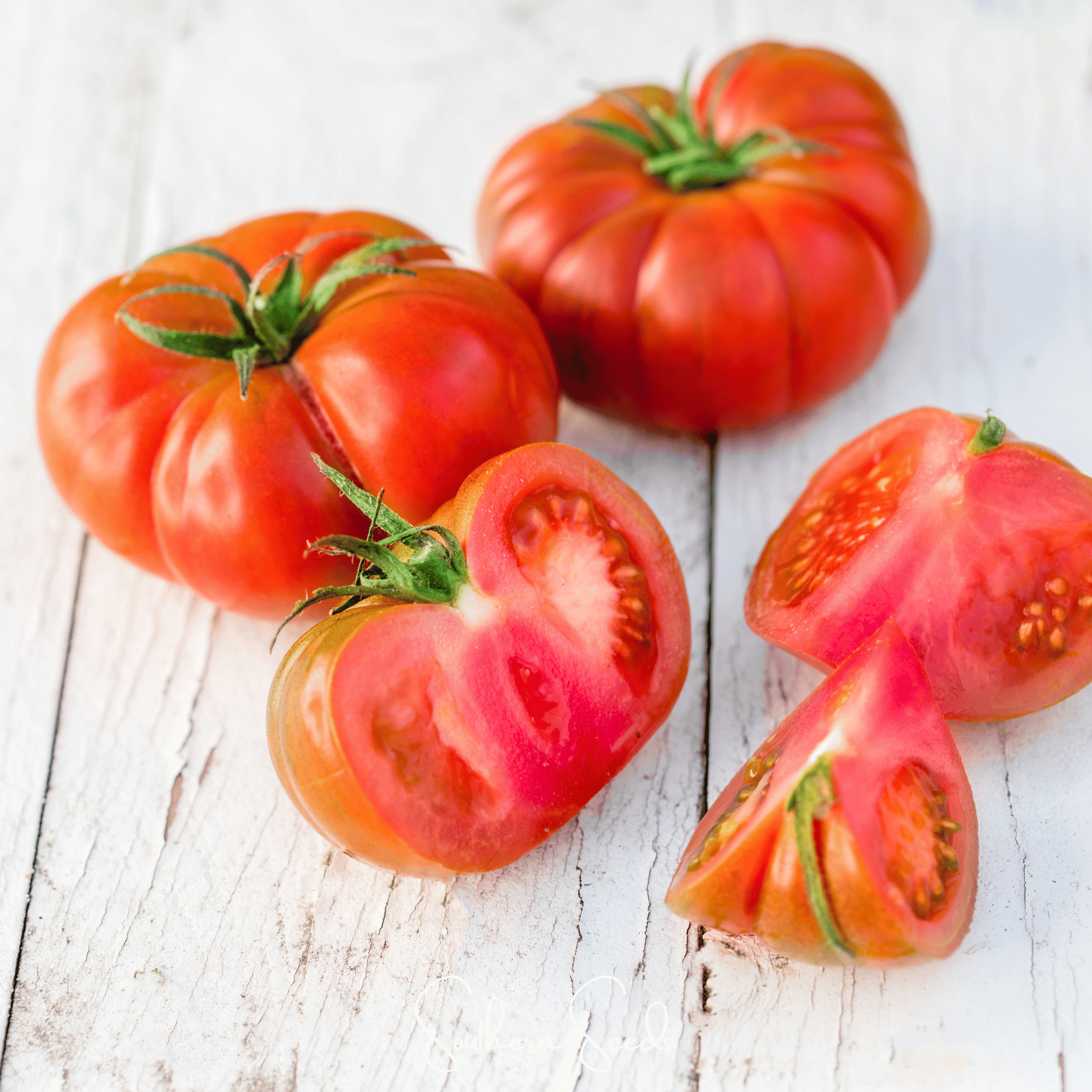 Seed Therapy | Red Brandywine Tomato –  50 Seeds