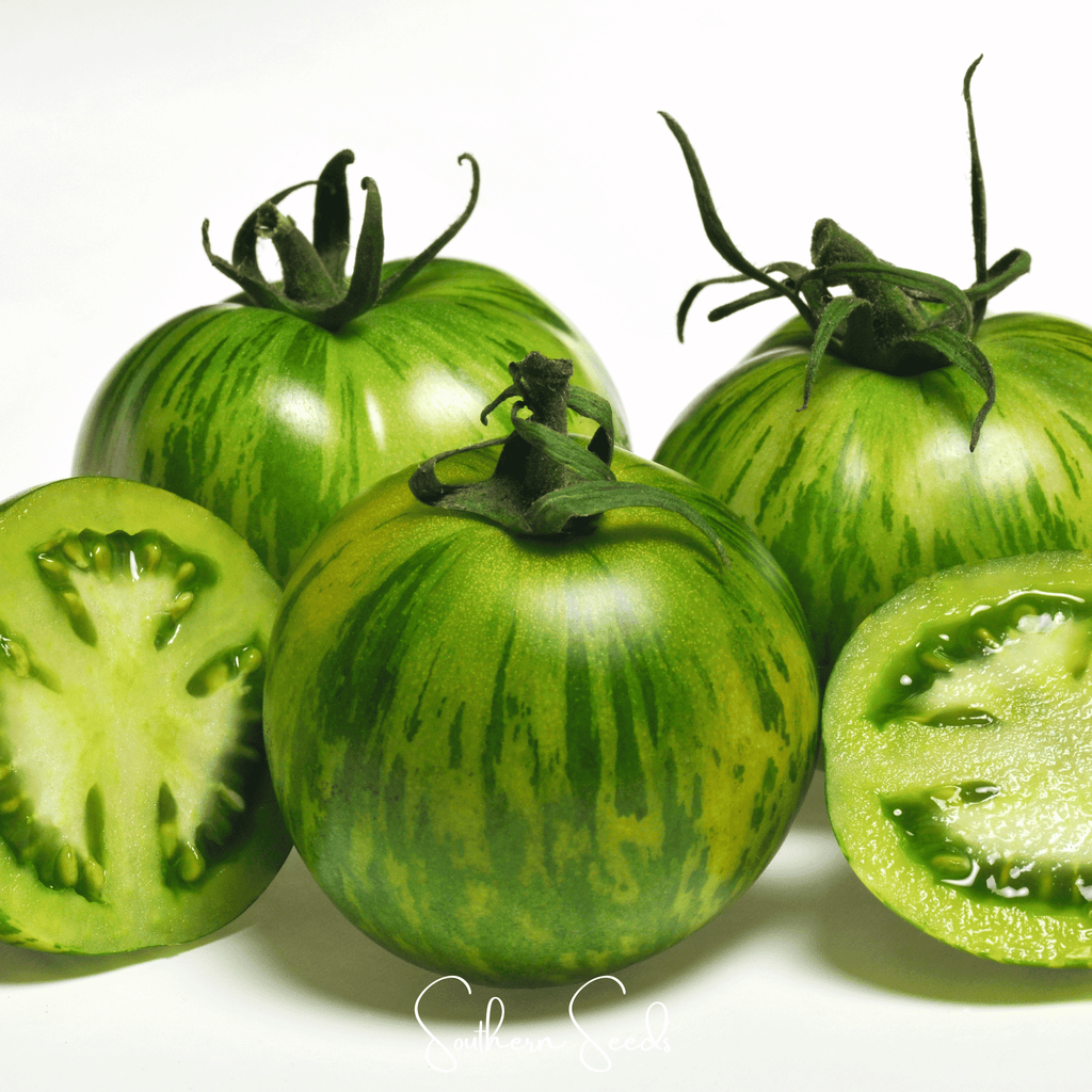 Seed Therapy | Green Zebra Tomato – 50 Seeds