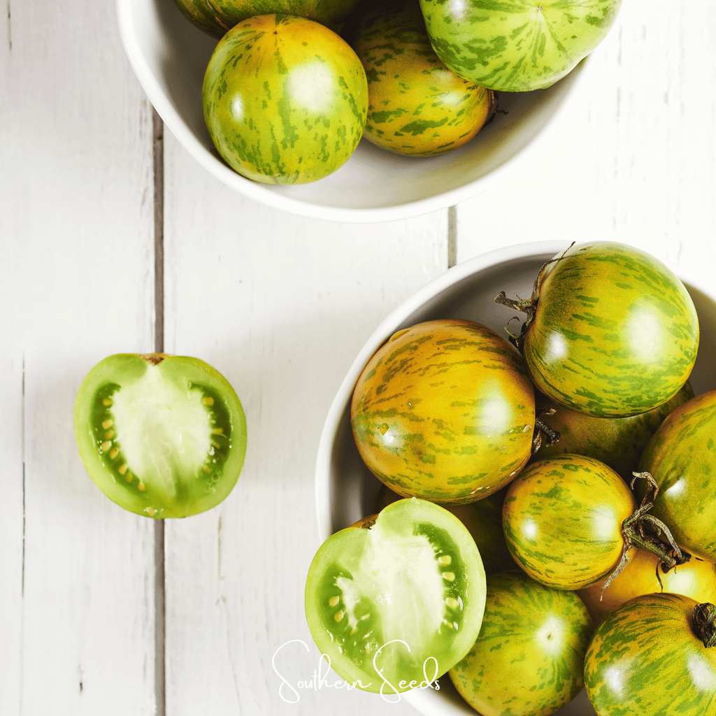 Seed Therapy | Green Zebra Tomato – 50 Seeds